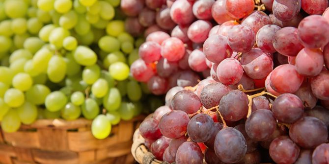 weintrauben
