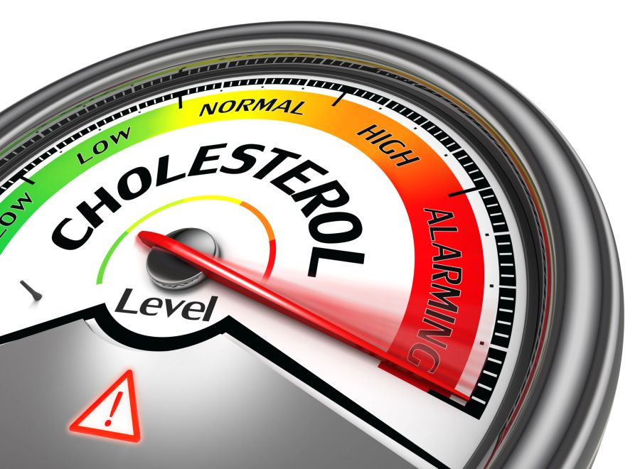 hoher cholesterinwert