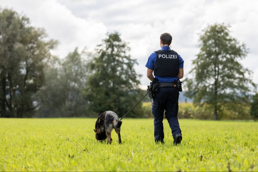 Ein Polizist wurde beim Einsatz verletzt.