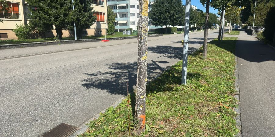 Oltnerstrasse Aarburg