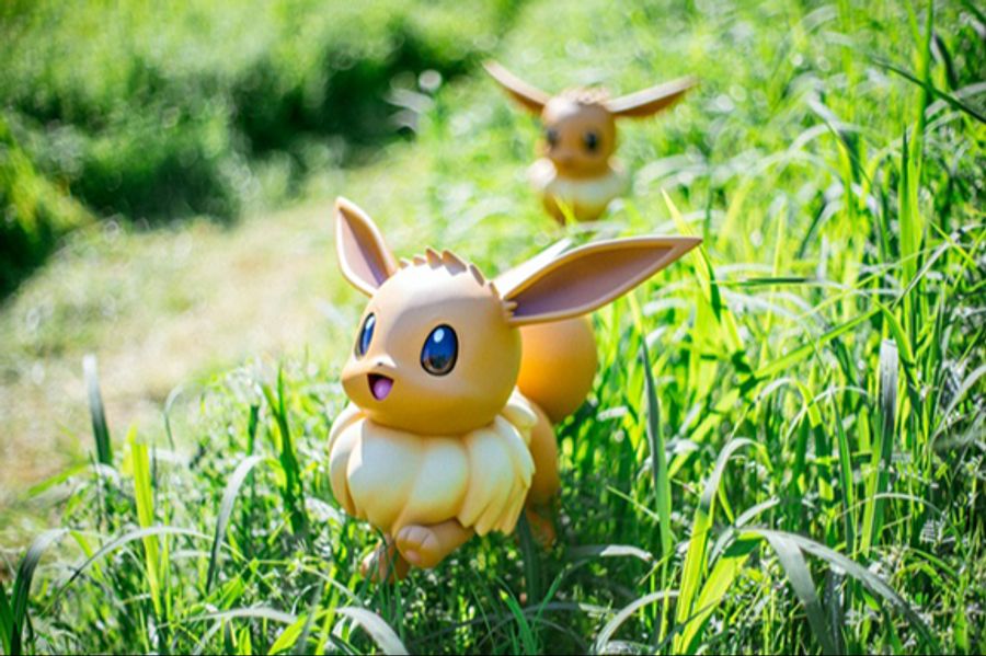 Abenteuer im Pokémon Forest