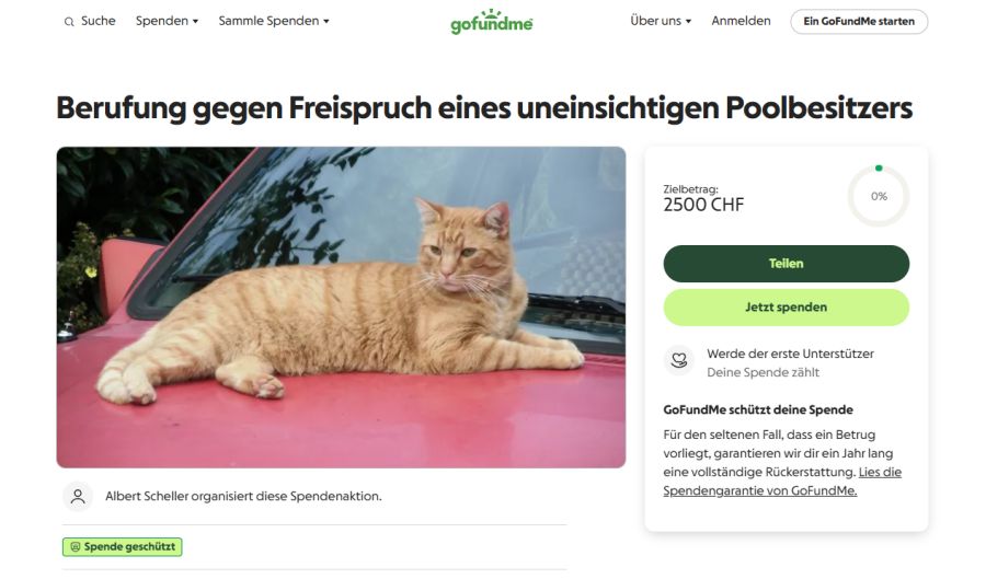 Katzen