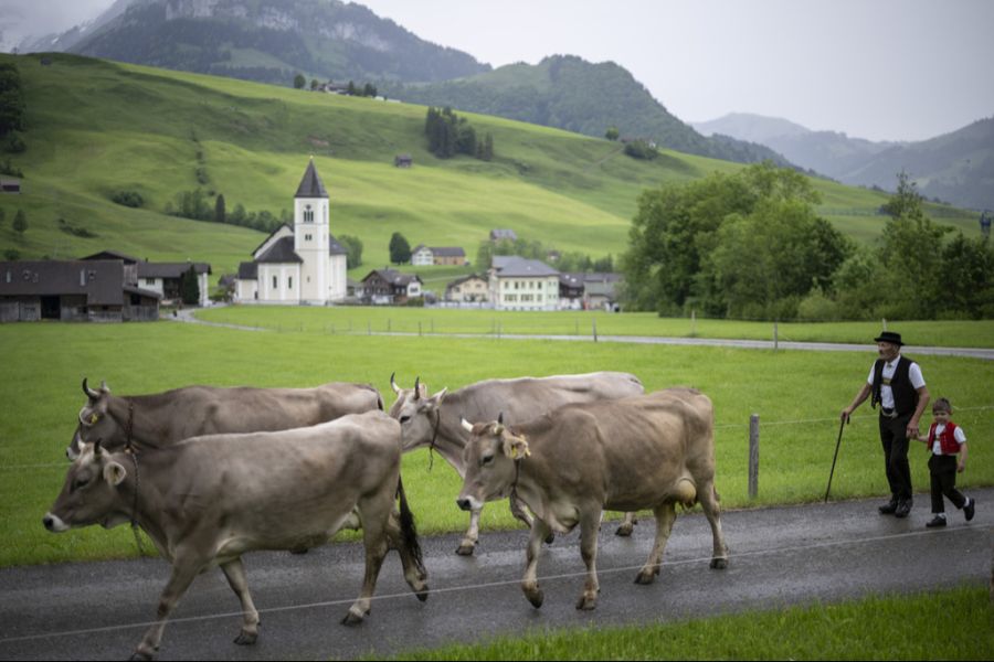 In Appenzell Innerrhoden sorgt der Overtourismus regelmässig für Kritik. (Symbolbild)