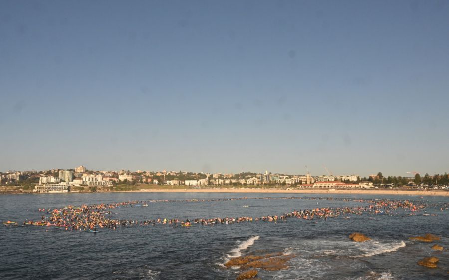 bondi beach