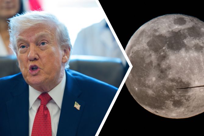 mond trump