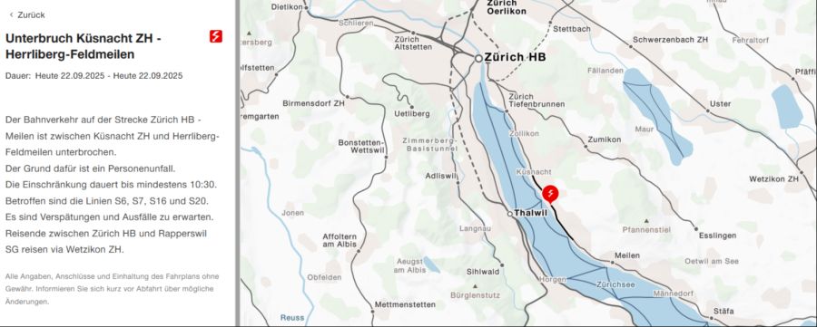 Diverse S-Bahn-Linien sind von der Einschränkung zwischen Herrliberg-Feldmeilen und Küsnacht betroffen.