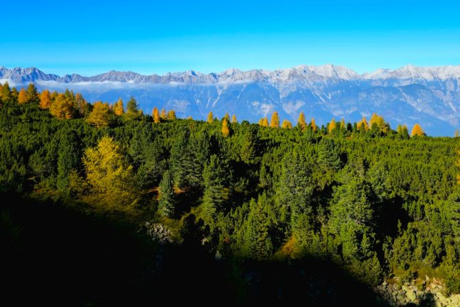 Zirbenweg Innsbruck