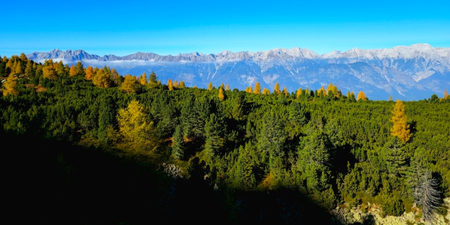 Zirbenweg Innsbruck