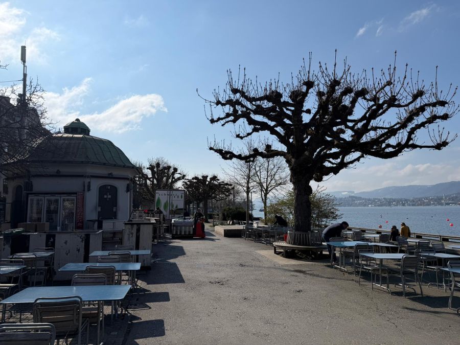 Die Pumpstation am Utoquai im Zürcher Stadtzentrum wird fit gemacht. (Foto von Donnerstagmorgen)