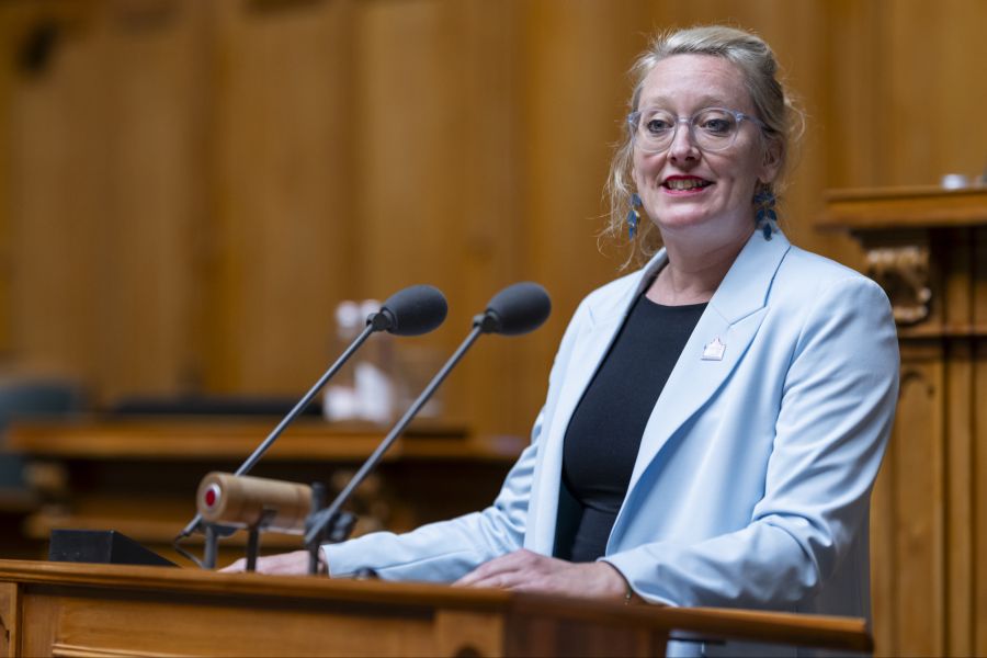 Gleichzeitig bietet die Exekutive mehr Einfluss, politische Projekte können direkter umgesetzt werden.