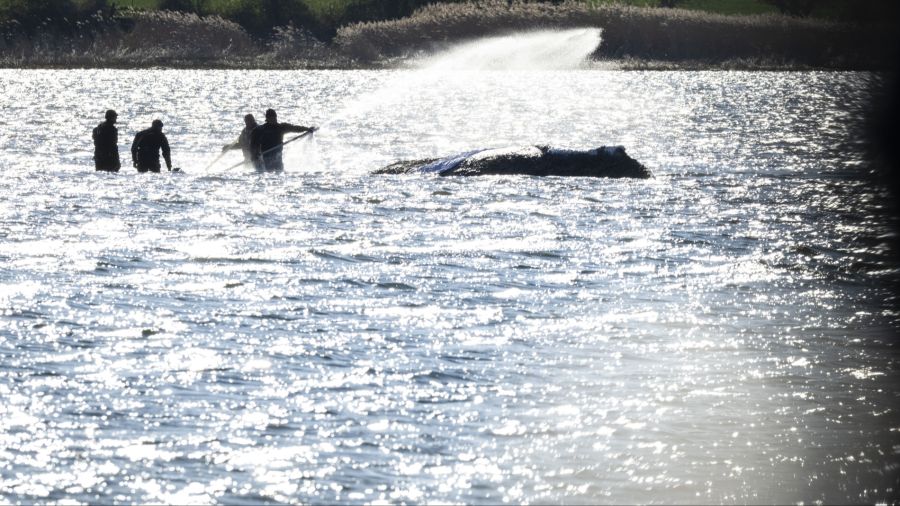 Sie kritisiert zwei Mitglieder des Retter-Teams heftig.