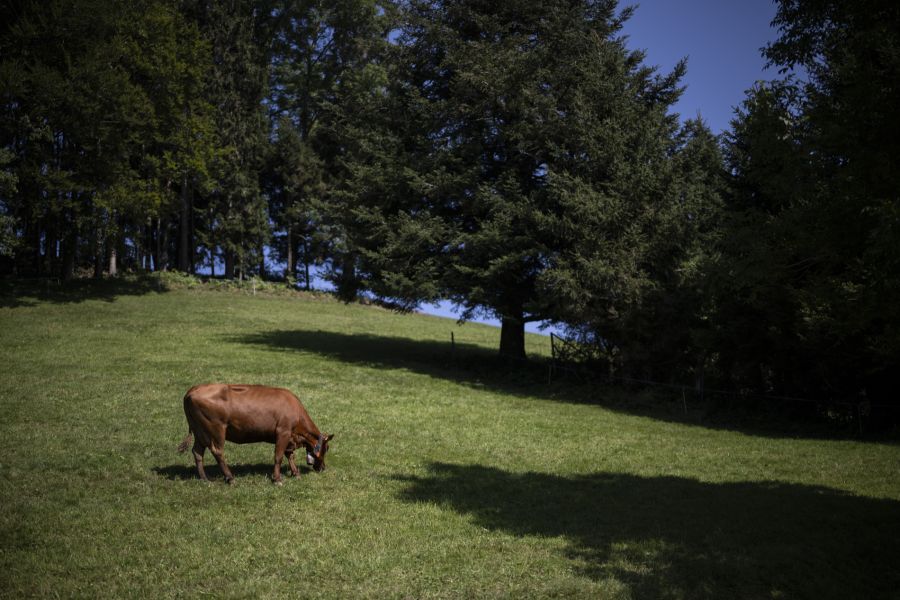 Unsichtbar, aber allgegenwärtig: Über 99 Prozent der Schweizer Böden sind mit PFAS-Chemikalien belastet.