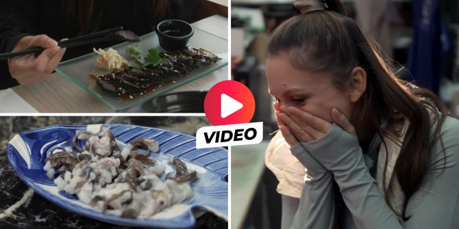 SRF Zwei Reisen Kritik