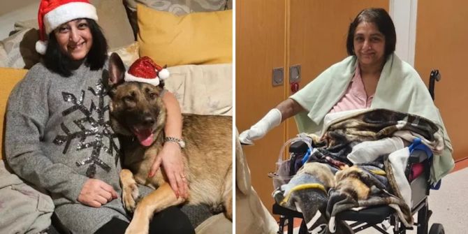 Speichel Sepsis Hund