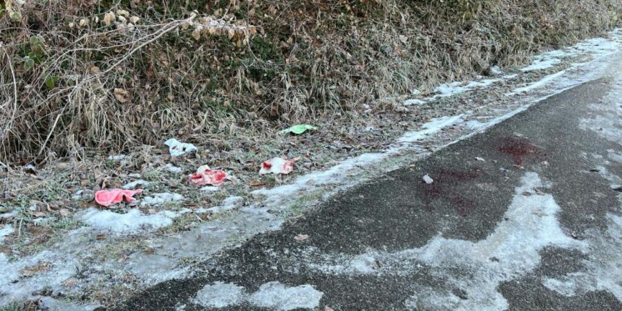 Die Kantonspolizei Solothurn will die Hintergründe dieses Fundes am Strassenrand in Seewen SO herausfinden. Laut Polizei handelt es sich dabei um menschliches Blut.