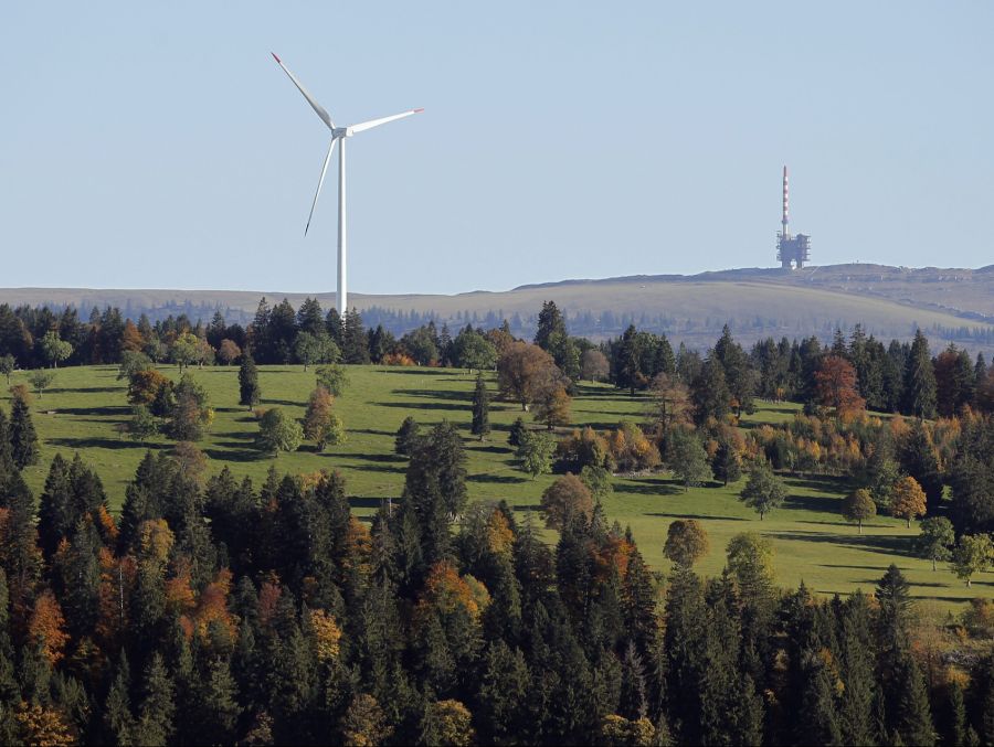 «Gegen Windräder sind wir, um den Wald und die Bäume zu schützen», sagt Rolf Müri.