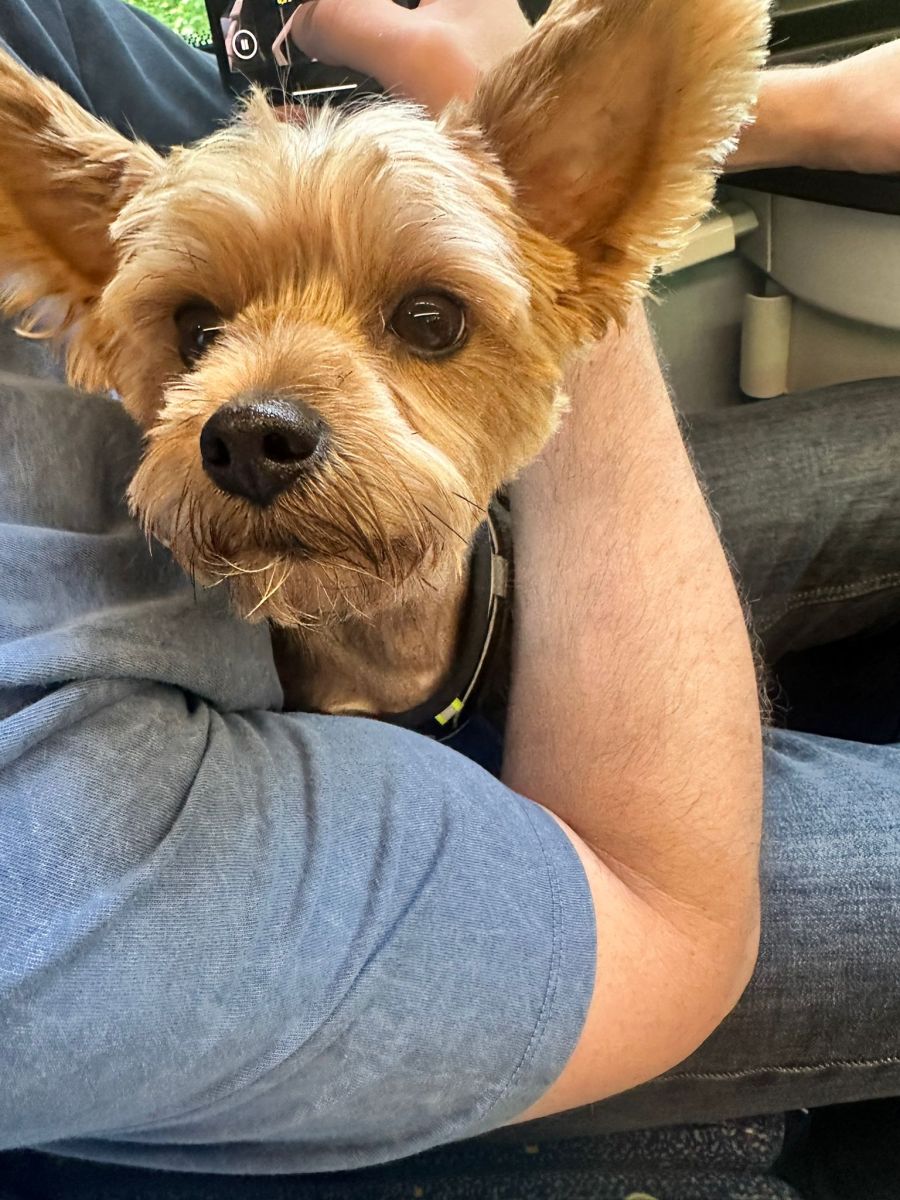 Er bleibt optimistisch: «Ich tue meinerseits wirklich alles, was in meiner Macht steht.»