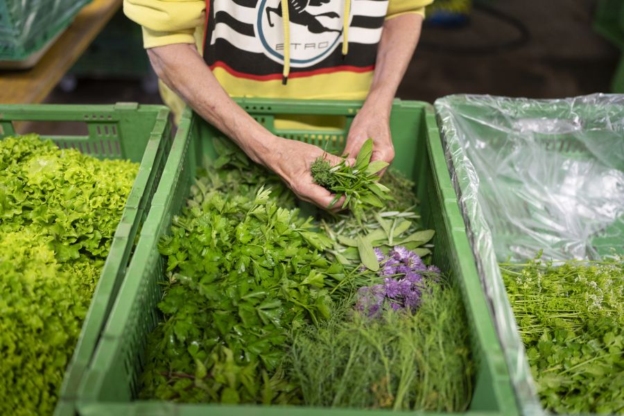 Das Label setzt auf frische Kräuter im Futter für einen besseren Geschmack.