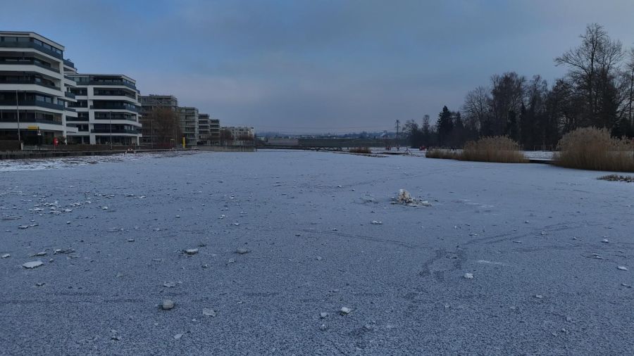 Trotz der Gefahr tummeln sich zahlreiche Zürcher auf dem Weiher.