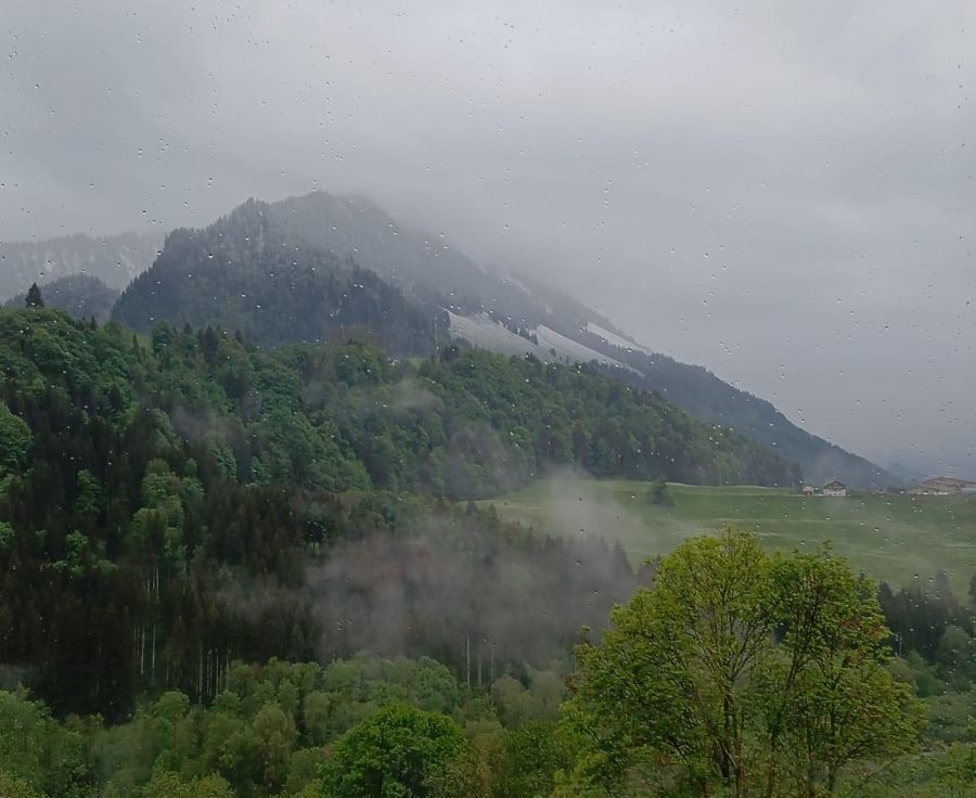 Eine Nau.ch-Leserin aus Charmey FR erblickte aus ihrem Fenster ebenfalls Schnee.