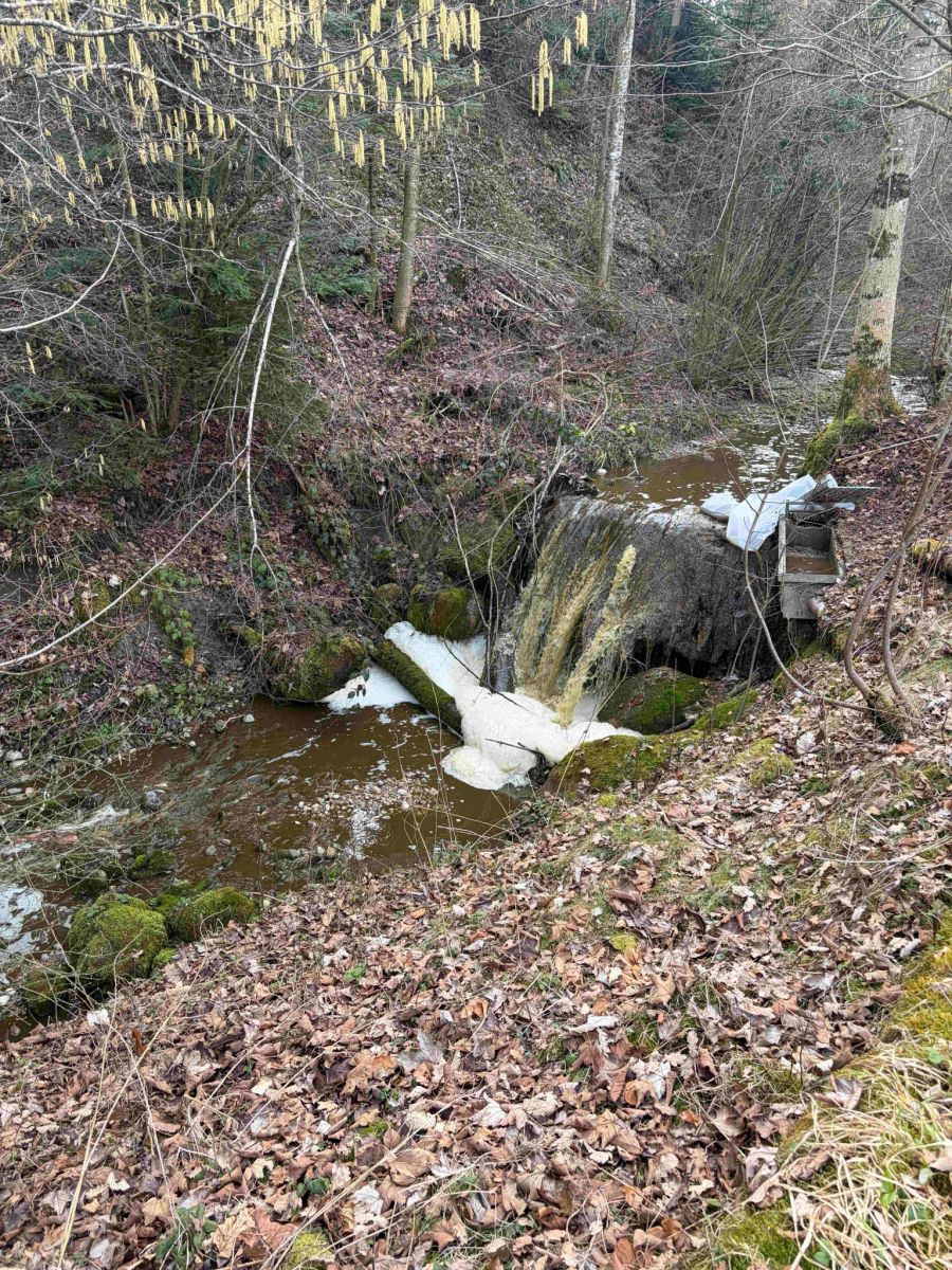 Verschmutzung Mosnang