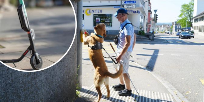 Der Begleithund Dyson drückt für Guido Böhler die Ampel.