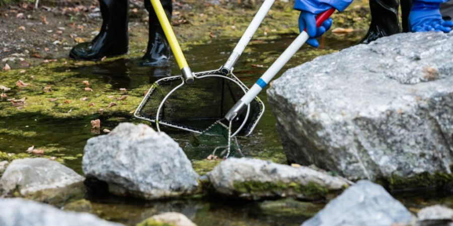 Die anhaltende Trockenheit wird für Fische in Baselbieter Gewässern zunehmend zu Belastung. (Symbolbild)