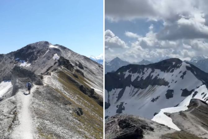 Bella Tola