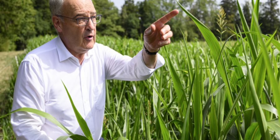 Sorghum könnte einen Weg für die Landwirtschaft in zunehmend trockenen Sommern weisen. Bundespräsident Guy Parmelin zu Besuch auf einem Waadtländer Bauernhof.