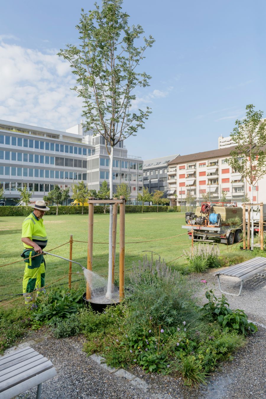 Jungbäume bis fünf Jahre werden laut Grün Stadt Zürich je nach Witterung bis zu dreimal pro Woche bewässert.