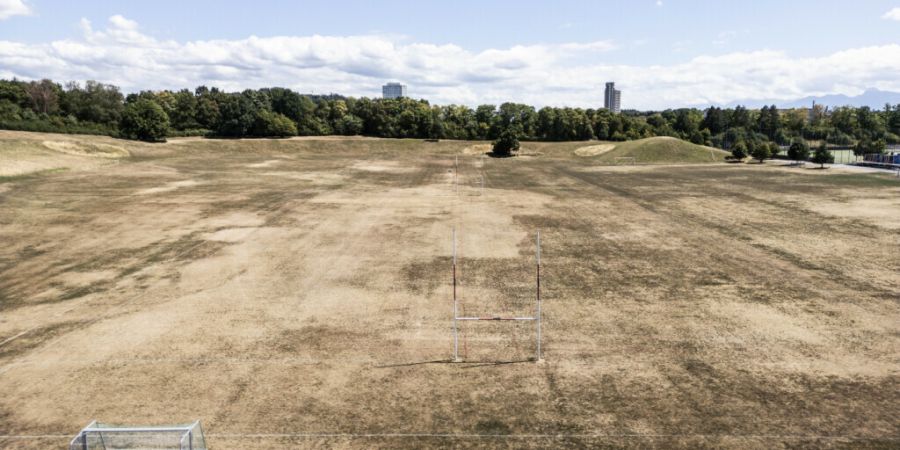 Die Berner Allmendn - hier die Grosse Allmend gezeichnet vom trockenen Sommer 2026 - dürften noch länger zu reden geben.