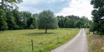 Erlinsbach AG