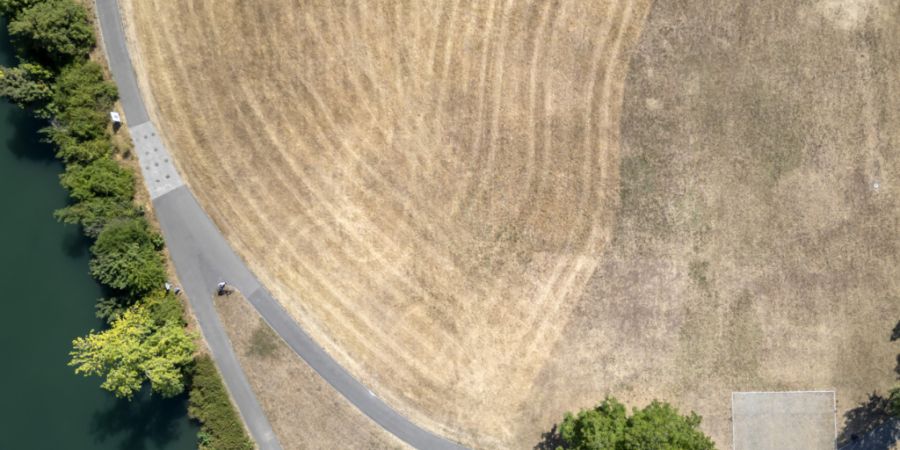 Luftaufnahme der ausgetrockneten Wiese auf der Kraftwerkinsel in Birsfelden, am 21. Juli 2026. Trotz der Entspannung bestehen die Auswirkungen der Trockenheit gemäss Kanton teilweise w...