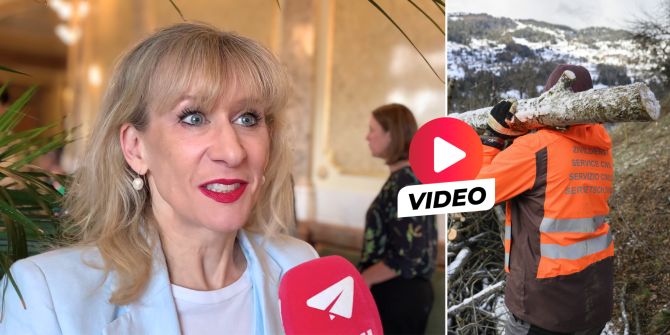 Priska Seiler Graf Zivildienstgesetz
