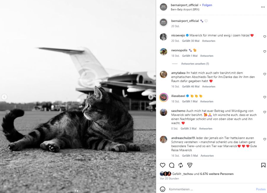 «Viele Menschen haben uns geschrieben, obwohl sie Maverick nie persönlich begegnet sind», schreibt der Flughafen in Belp.