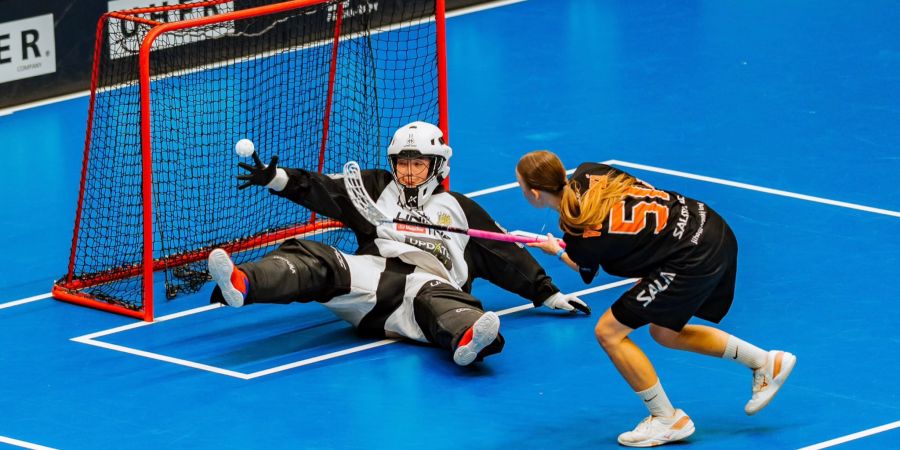 Wizards Bern Burgdorf: