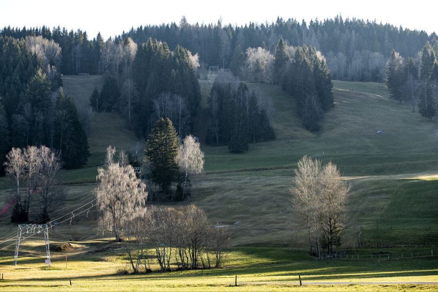 Doch lohnt sich diese Investition für so ein kleines Skigebiet? Laut Verwaltungsrat Mark Zumbühl machen 12 Betriebstage mit genügend Schnee den Nollen wirtschaftlich kostendeckend.