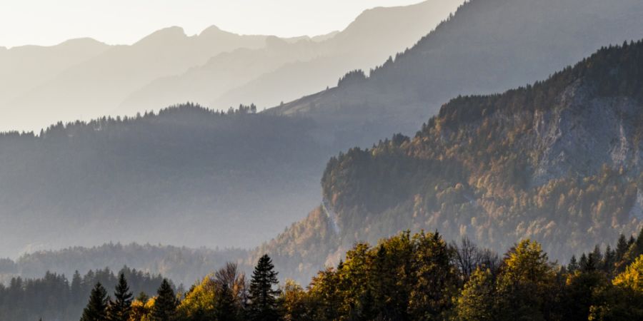 Der Wald erfüllt im Berner Oberland, hier im Haslital, vielfältige Bedürfnisse. Oft schützt er Siedlungen und Verkehrswege vor Naturgefahren. (Archivbild)