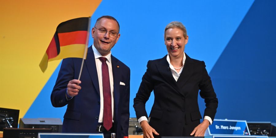 weidel und chrupalla