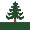 Baum Gemeinde Bauma Wappen