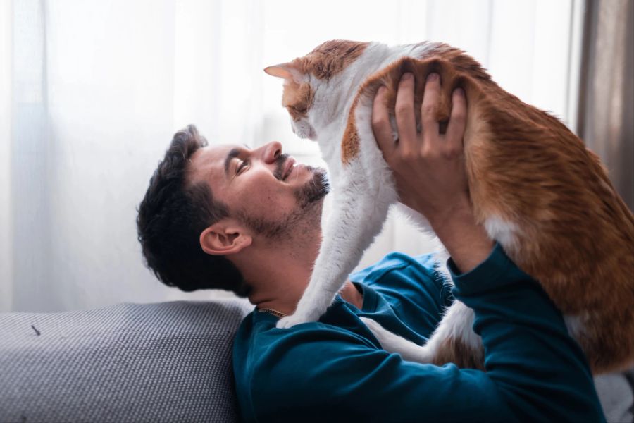 mann katze kuscheln