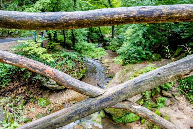 Wandern im Müllerthal bringt jede Menge Freude und Naturerlebnisse. Müllerthal