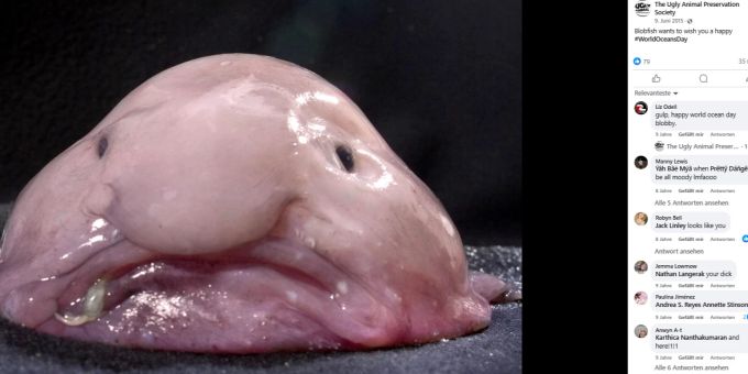 Blobfisch