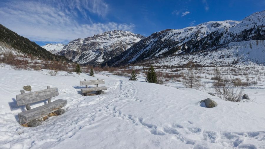 Engadin Winterwanderung Morteratsch