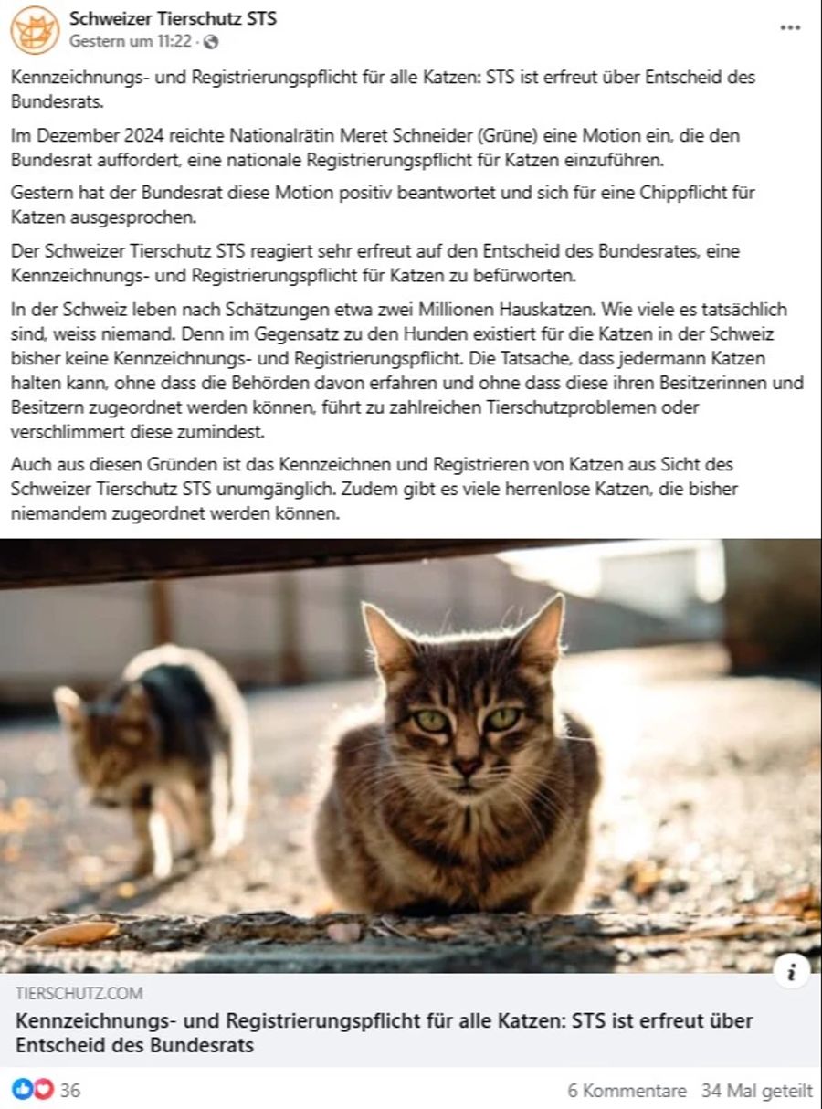 Katzen Chip Pflicht