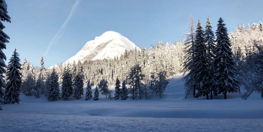 Schnee Berg Nadelwald Himmel