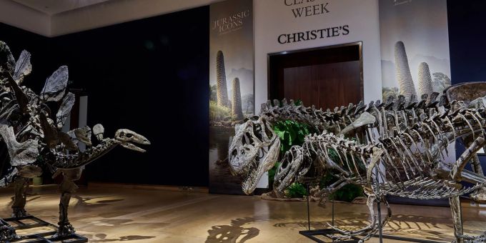 Die Fossilien sind schätzungsweise 157 bis 145 Millionen Jahre alt. Die Fossilien sind schätzungsweise 157 bis 145 Millionen Jahre alt.