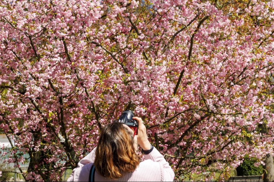 Am Karsamstag können die Temperaturen auf gegen 20 Grad klettern.