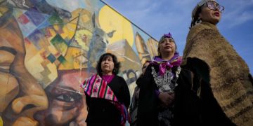 mapuche forschung zürich
