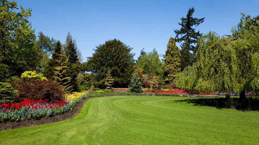 beetebenen, grüner garten, weide